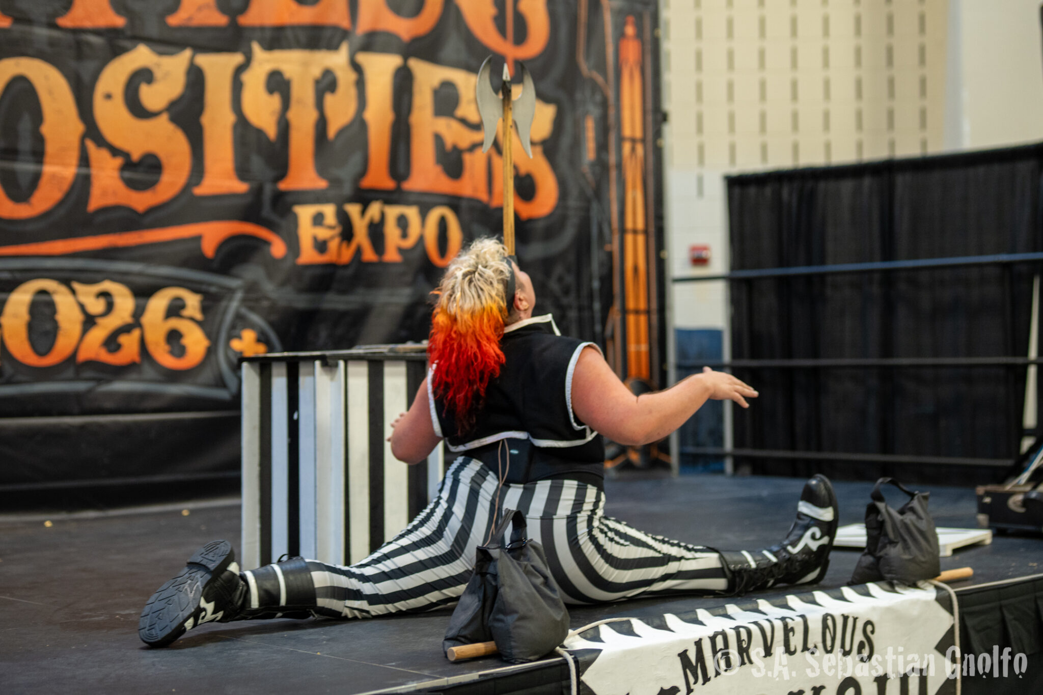 Oddities & Curiosities Expo June 28, 2026